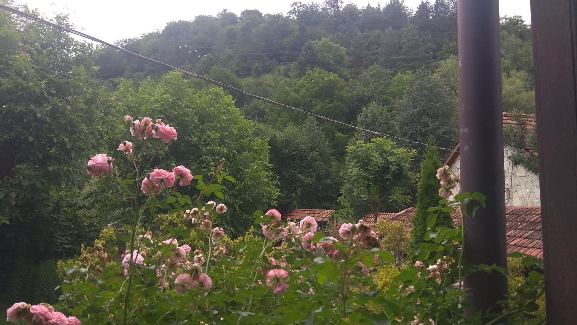 Eco Garden Bed & Breakfast Dilijan Exterior photo
